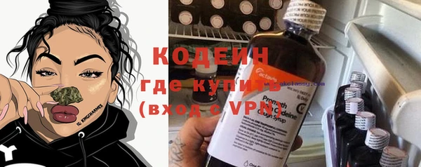 гашик Билибино