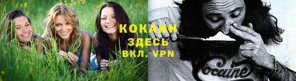прущие грибы Нефтегорск