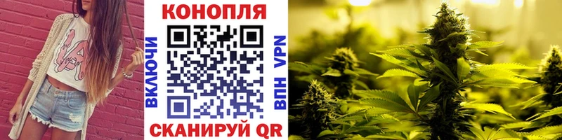 хочу   Ужур  Конопля ГИДРОПОН 
